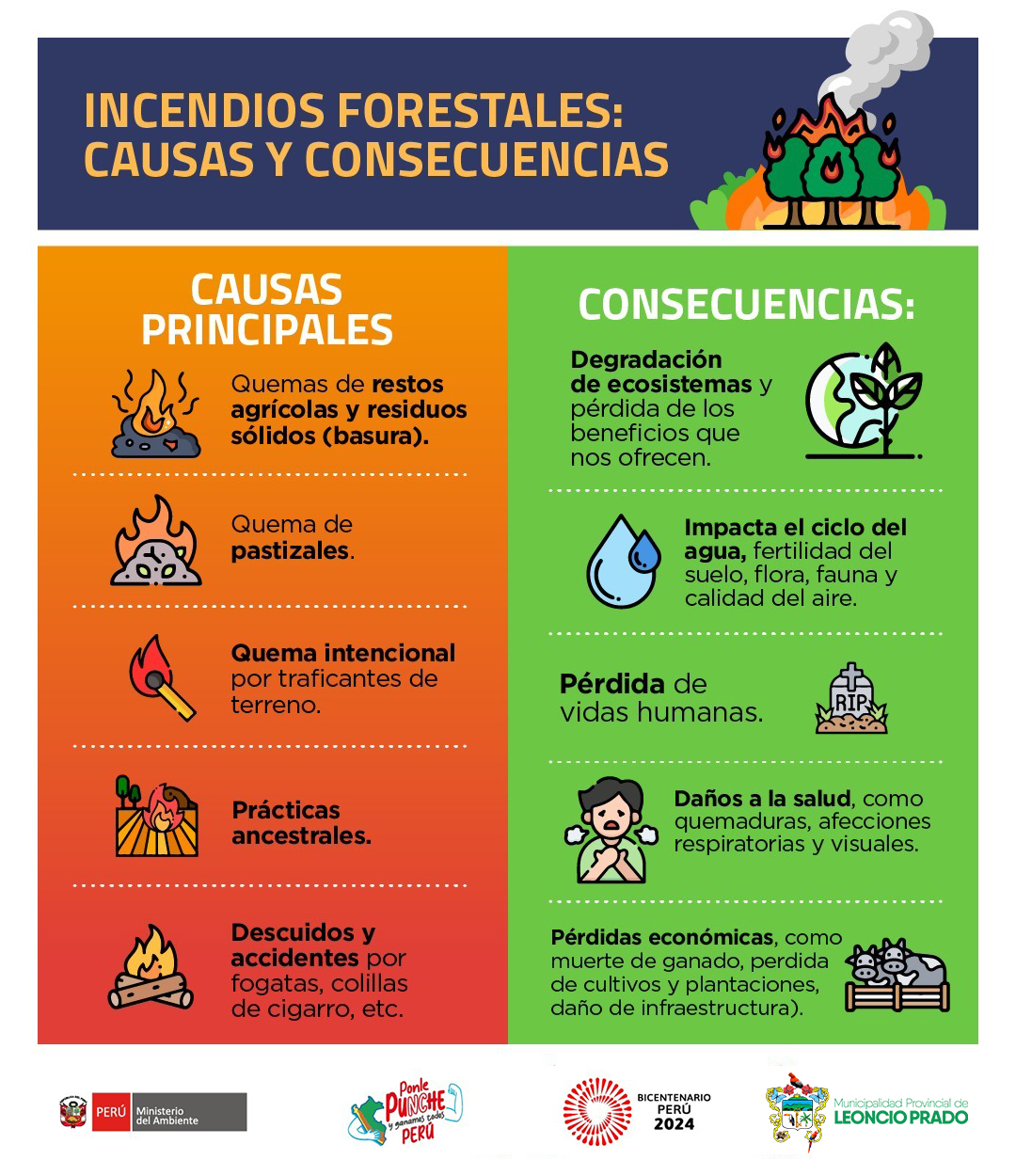 «Respetemos los Bosques, No a la quema de Bosques»