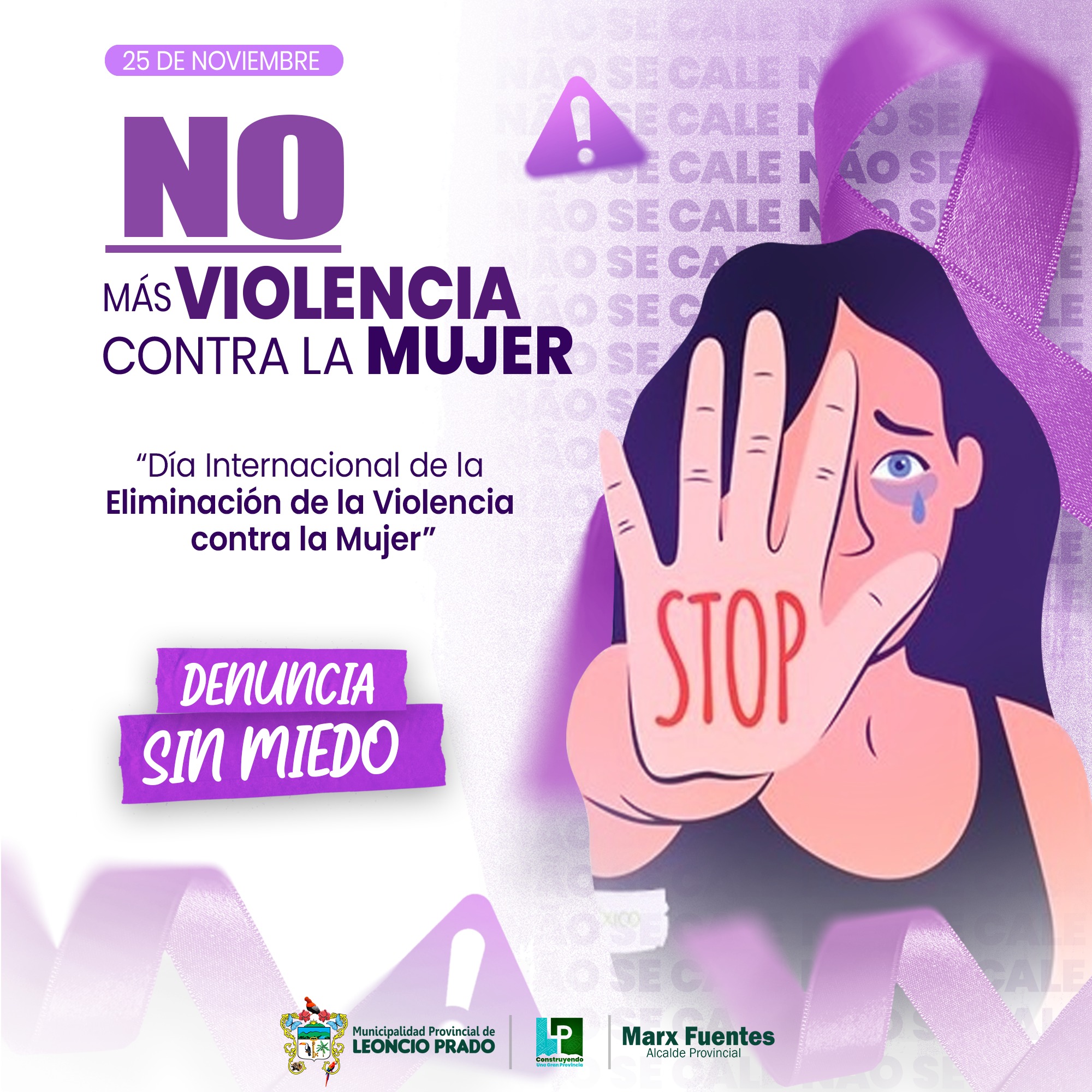 «Día Internacional de la Eliminación de la Violencia Contra la Mujer»