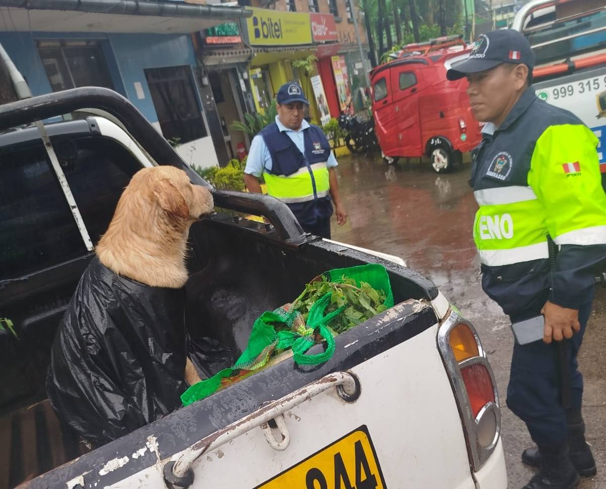 Rescate Urgente, Serenazgo Protege a Mascota en Peligro