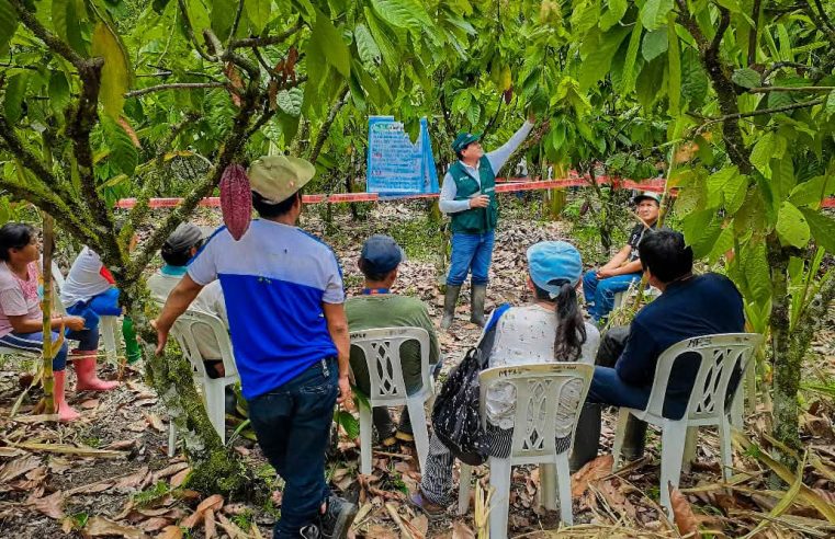 🌱 DÍA DE CAMPO“Sembrando enseñanza, sembramos desarrollo”