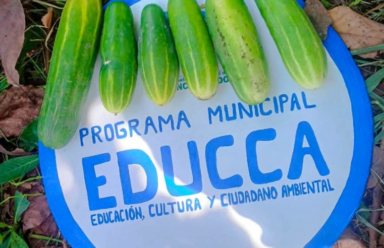 🌎 Educando para un futuro sostenible 🌳