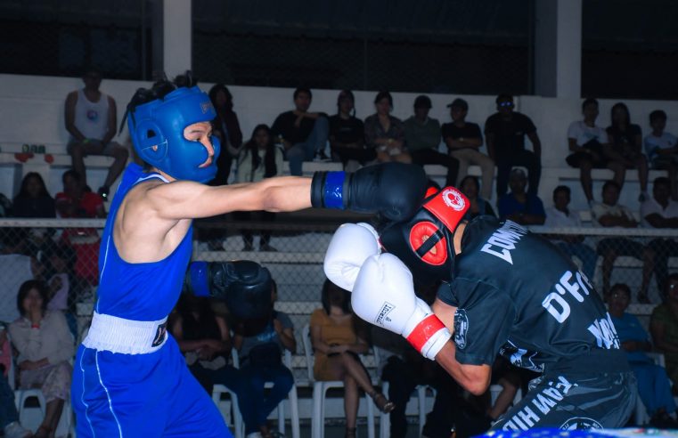 💥 Segunda edición del Evento de Boxeo Mixto 🥊