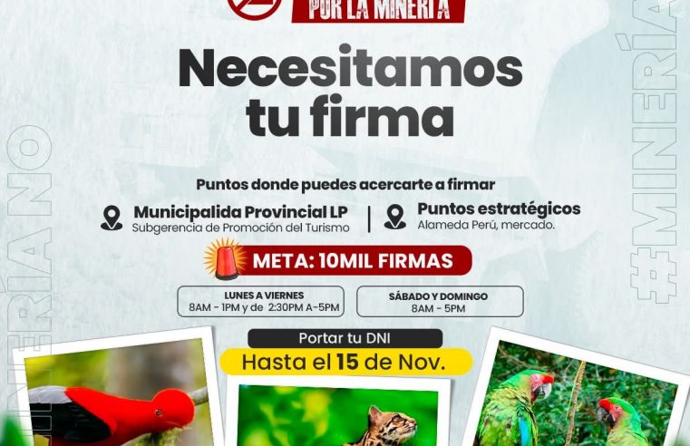 📣 ¡Seguimos firmes en defensa de Tingo María! 🌱