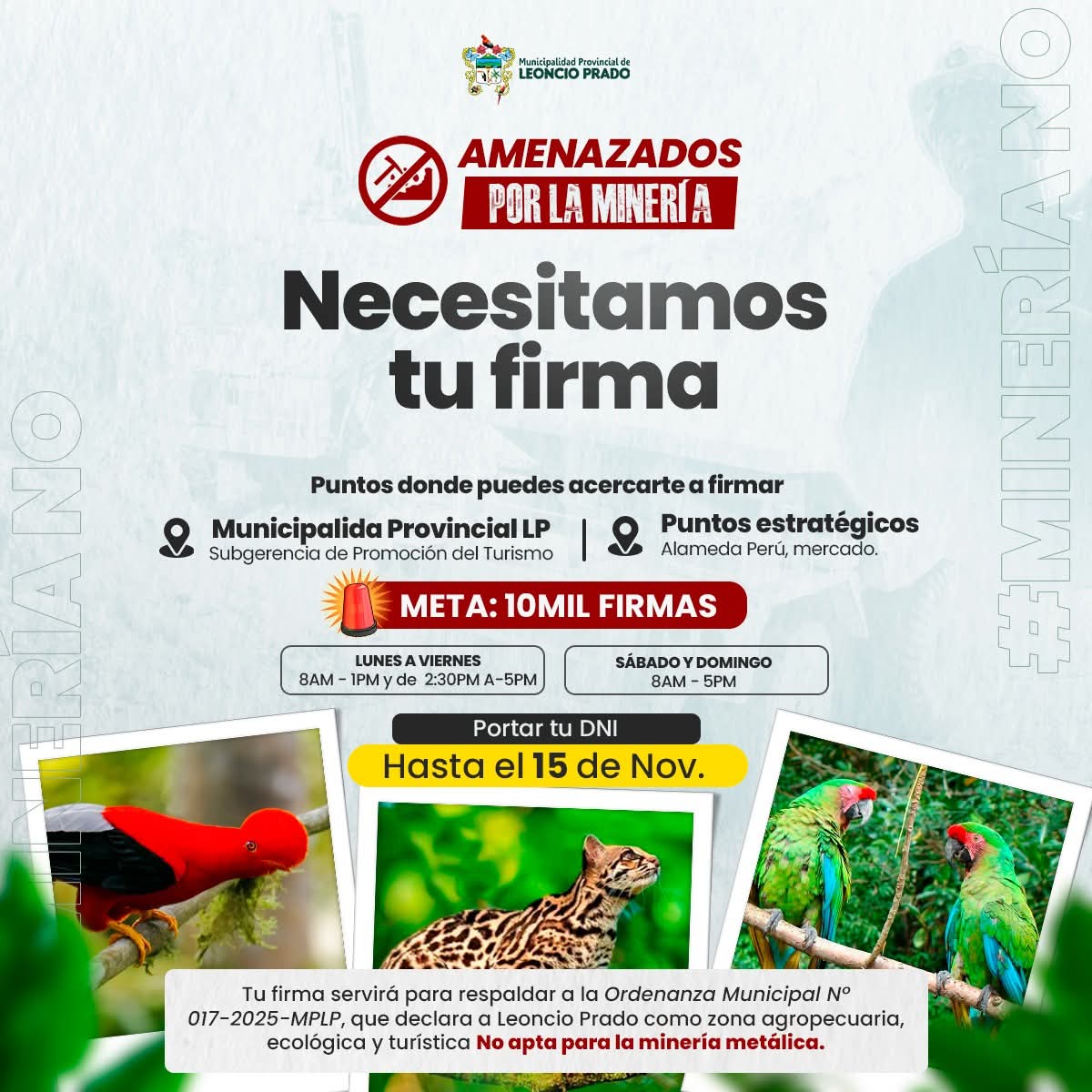 📣 ¡Seguimos firmes en defensa de Tingo María! 🌱