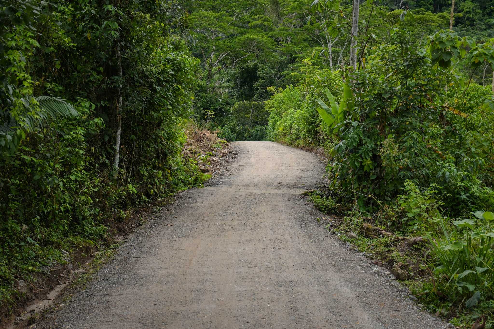 INAUGURAMOS MAS 3KM CARRETERA MEJORADA