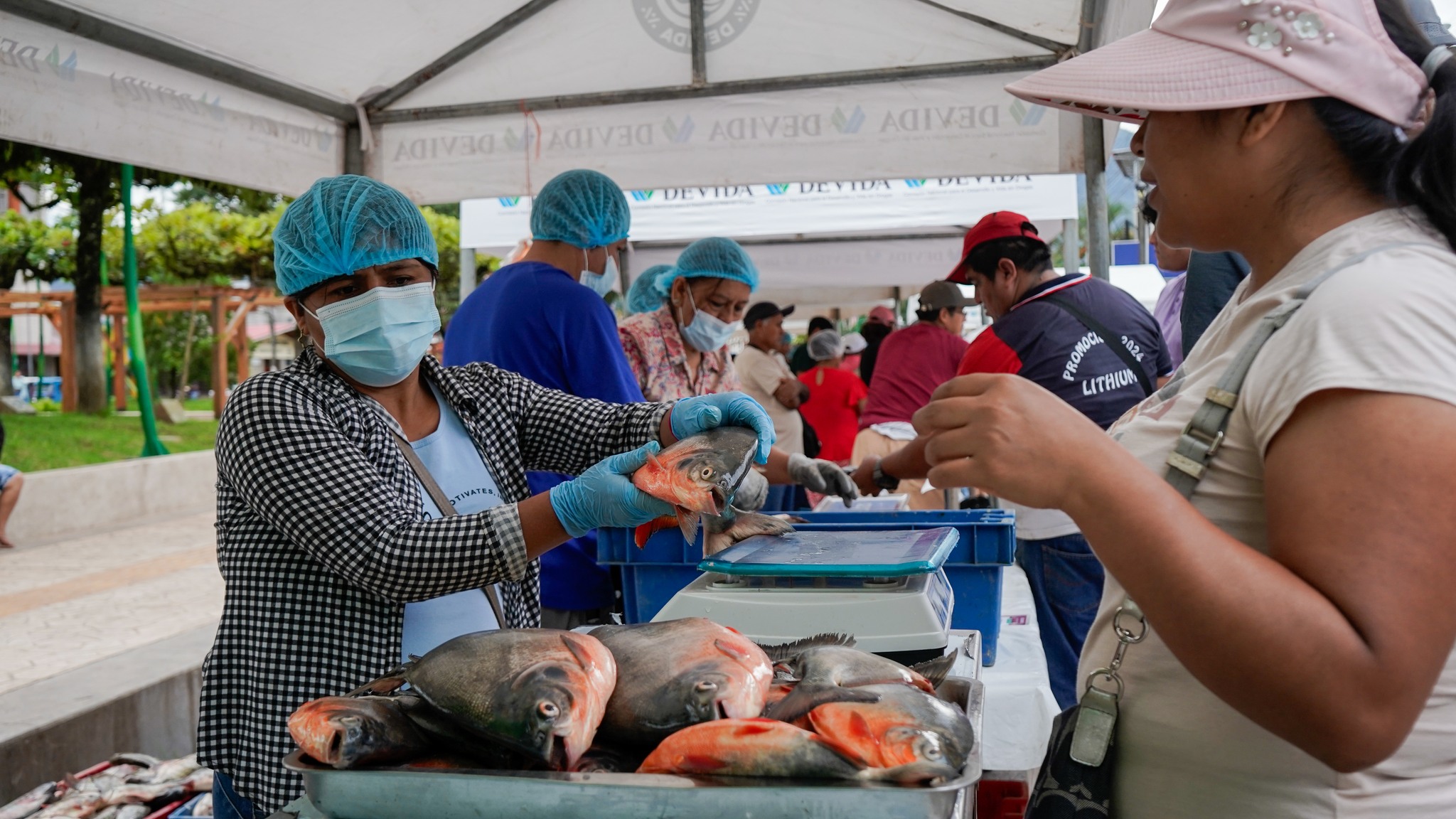 ¡EXITOSA JORNADA DEL “PESCADITO TINGALÉS”!